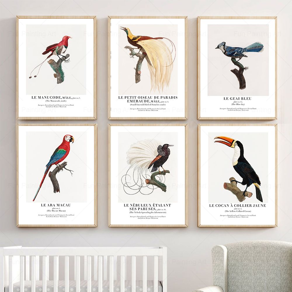 Furniture Paradise & Hardware Ghaziabad Photos - Vintage Paradise Bird Wall Art Canvas