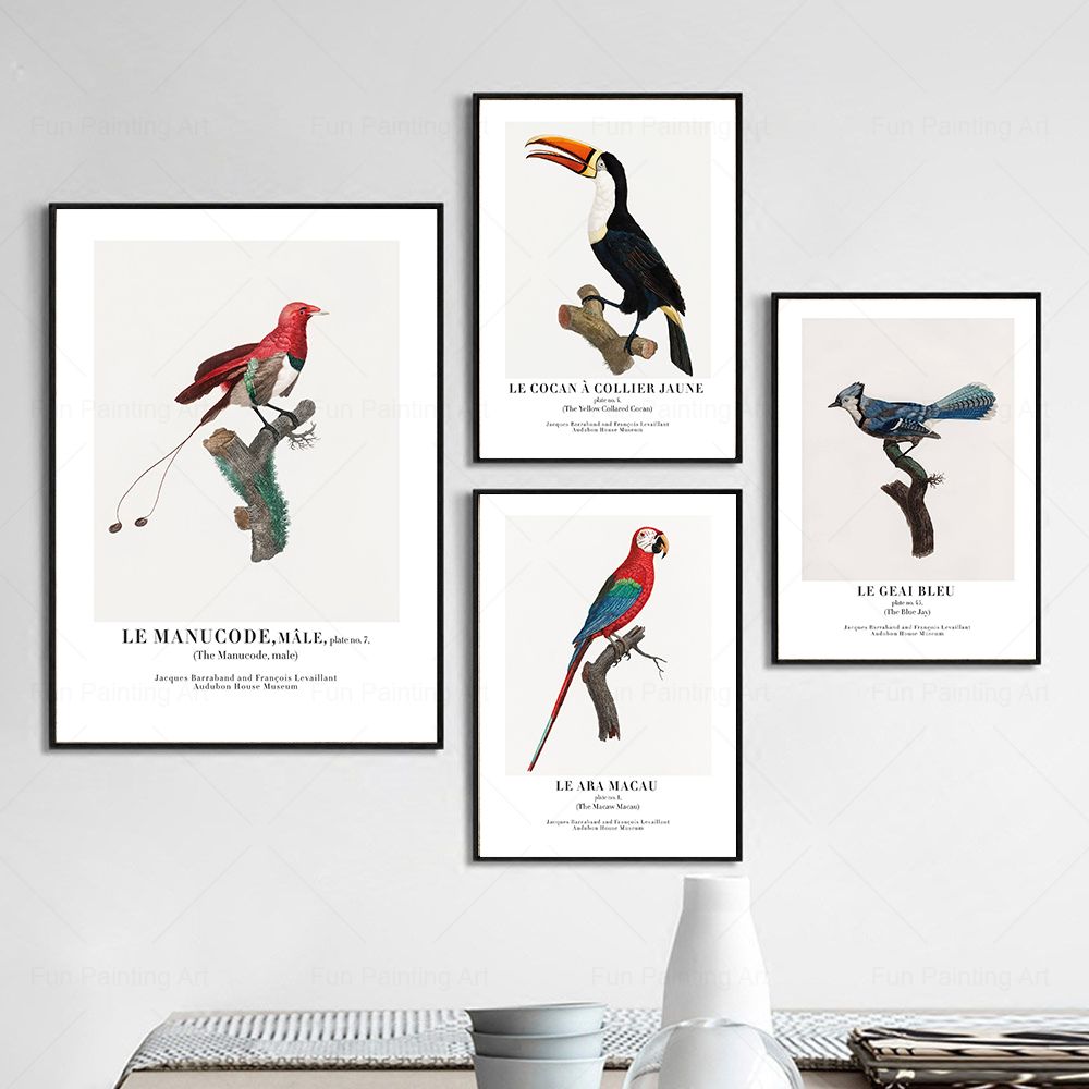 Vintage Paradise Bird Wall Art - Furniture Paradise & Hardware Ghaziabad Photos review and price