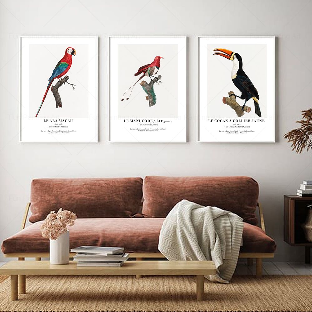 Vintage Paradise Bird Wall Art - Furniture Paradise & Hardware Ghaziabad Photos review and price