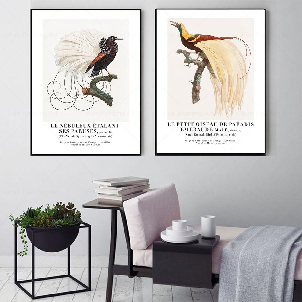 Vintage Paradise Bird Wall Art - Furniture Paradise & Hardware Ghaziabad Photos review and price