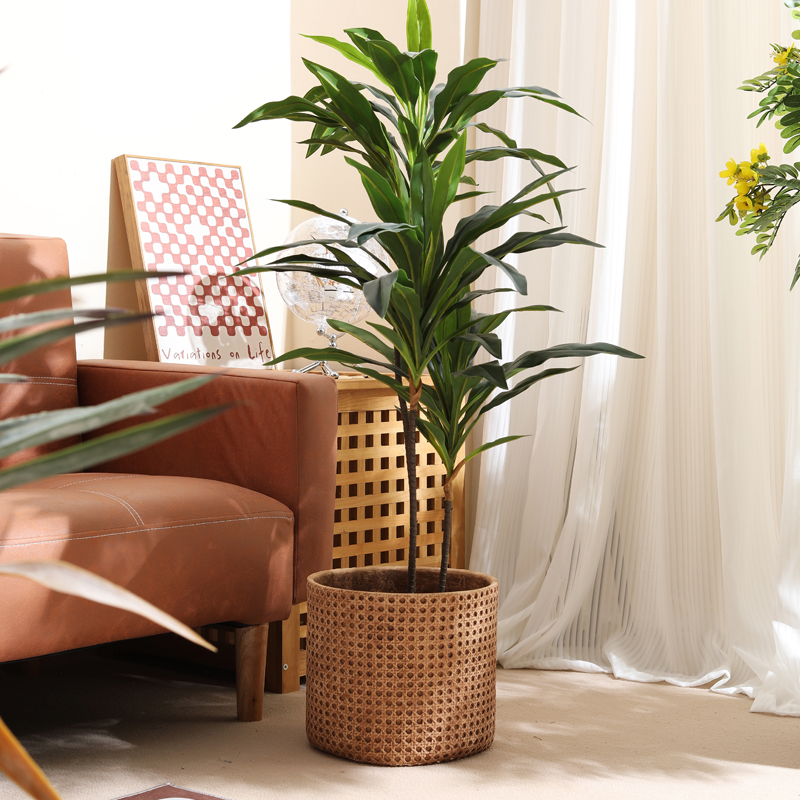 Furniture for small-sized apar - Furniture Paradise & Hardware Ghaziabad Photos review and price